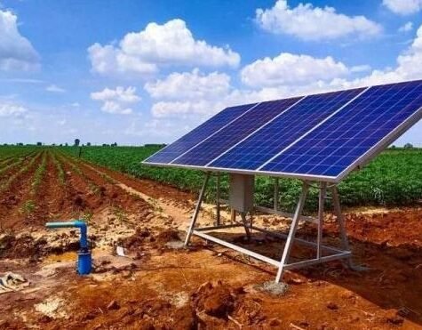 WhatsApp Image 2025-05-19 à 02.19.19_a29c0f69