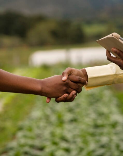 vue-laterale-des-femmes-se-serrant-la-main